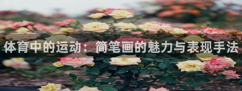 米兰体育官方正版app娱乐代理怎么样：体育中的运动：