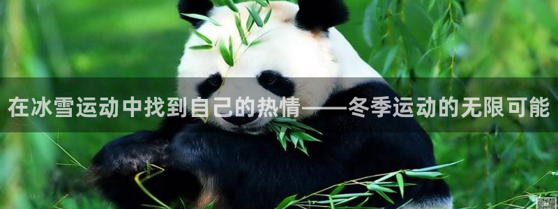米兰体育官网下载招商电话地址查询：在冰雪运动中找到自