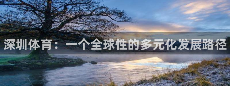 米兰体育官方正版app集团logo：深圳体育：一个全
