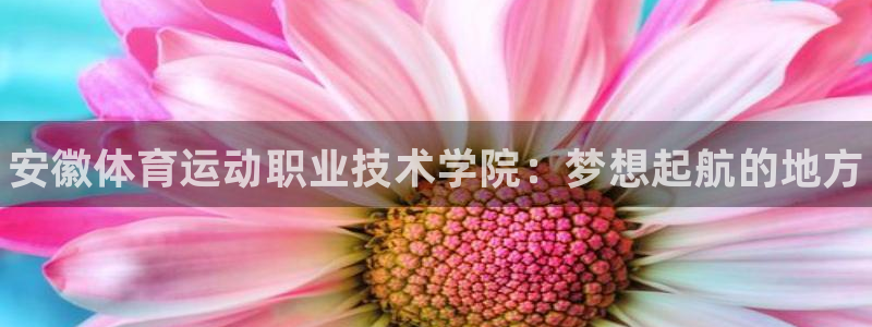 米兰体育官方正版app科技：安徽体育运动职业技术学院