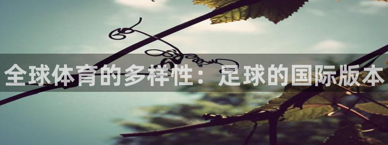 米兰体育官方正版app代理：全球体育的多样性：足球的