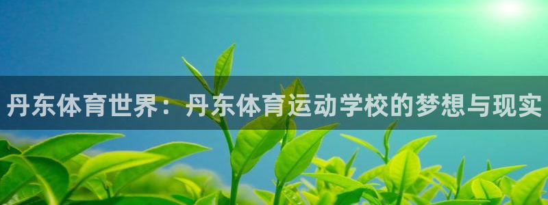 米兰体育官网下载平台注册流程视频：丹东体育世界：丹东