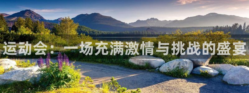 米兰体育官方正版app集团官网首页网址：运动会：一场