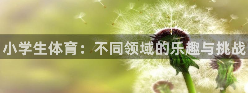 海南米兰体育官网下载：小学生体育：不同领域的乐趣与挑