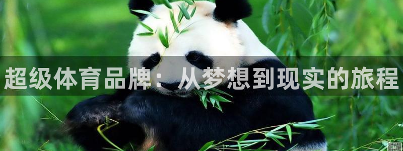 米兰体育官网下载招商电话地址是多少：超级体育品牌：从