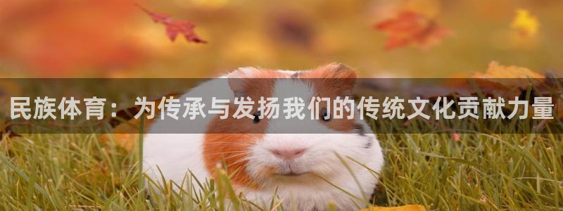米兰体育官网下载招商电话号码是多少号：民族体育：为传