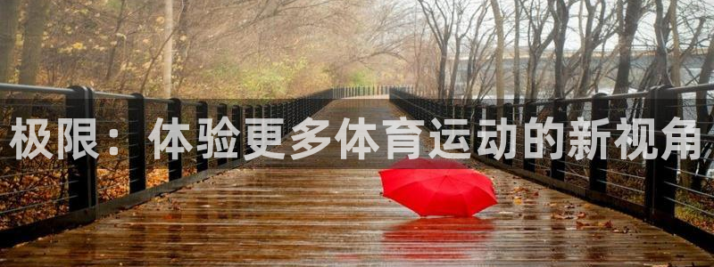 米兰体育官方正版app集团简介：极限：体验更多体育运动的新视