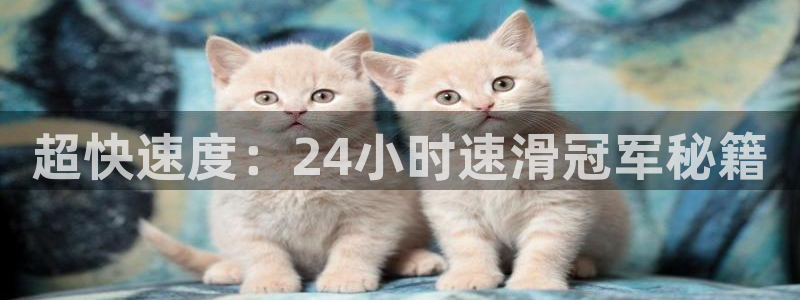 米兰体育官方正版app集团简介：超快速度：24小时速