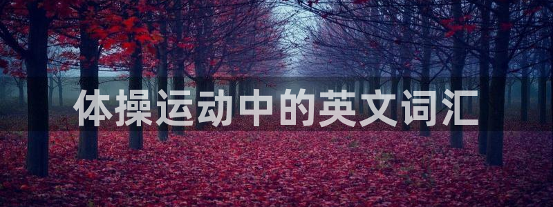 米兰体育官方正版app集团：体操运动中的英文词汇