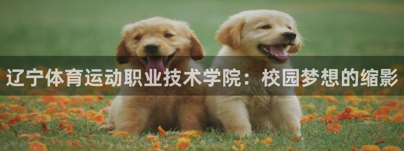 米兰体育官网下载招商电话