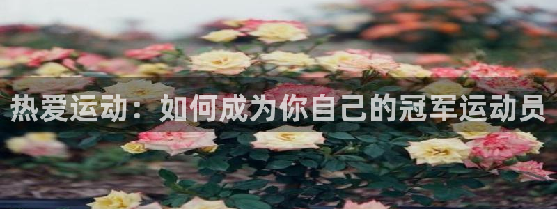 注册米兰体育官方正版app：热爱运动：如何成为你自己