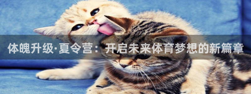 米兰体育官方集团官网：体魄升级·夏令营：开启未来体育梦想的新