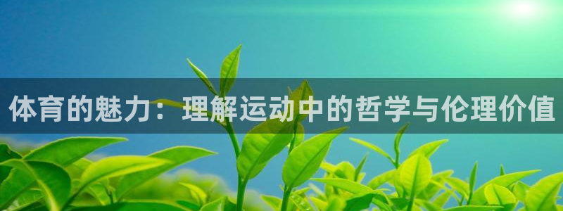 米兰体育官网下载招商：体育的魅力：理解运动中的哲学与伦理价值