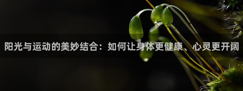 米兰体育官网下载平台是正规平台吗：阳光与运动的美妙结