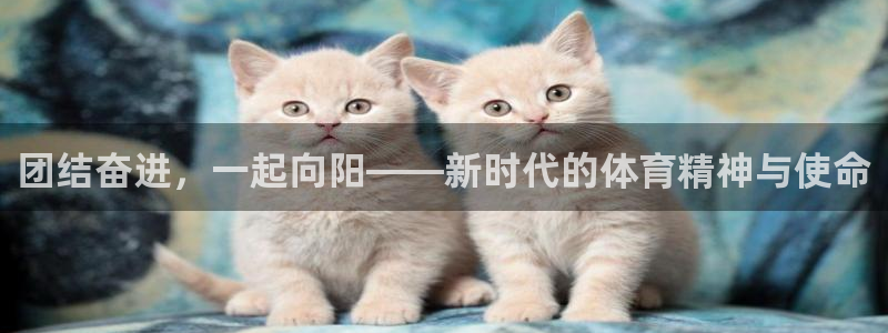 米兰体育官网下载平台是正规平台吗知乎：团结奋进，一起