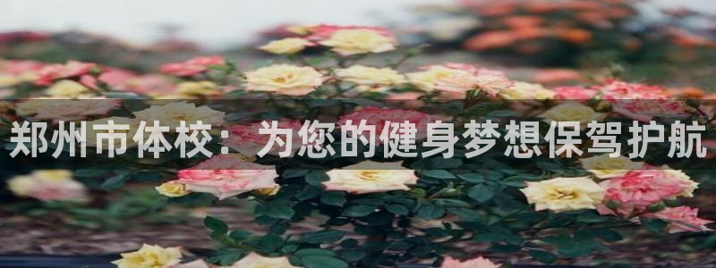 米兰体育官网下载招商：郑州市体校：为您的健身梦想保驾护航