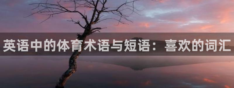米兰体育官方正版app娱乐首页网站大全：英语中的体育术语与短