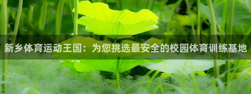 米兰体育官方平台体育：新乡体育运动王国：为您挑选最安全的校园