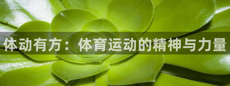 米兰体育官网下载平台假的吗是真的吗：体动有方：体育运