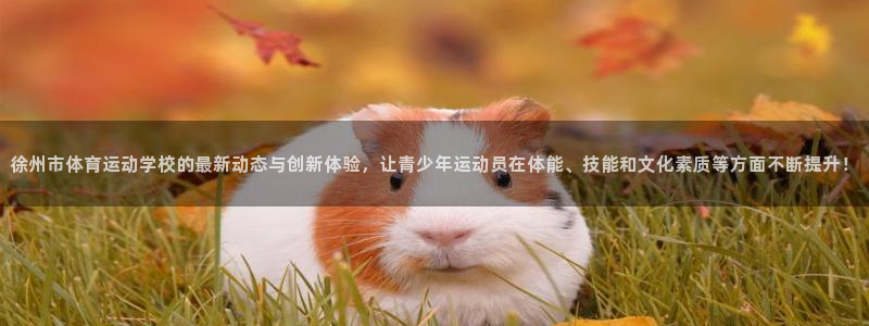 米兰体育官网下载是干嘛的公司：徐州市体育运动学校的最