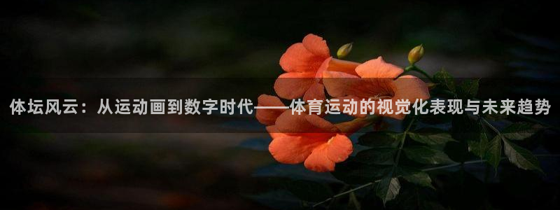 米兰体育官方正版app神州：体坛风云：从运动画到数字时代——