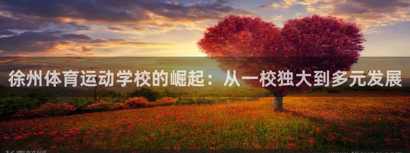 米兰体育官网下载平台假的吗是真的吗吗：徐州体育运动学校的崛起