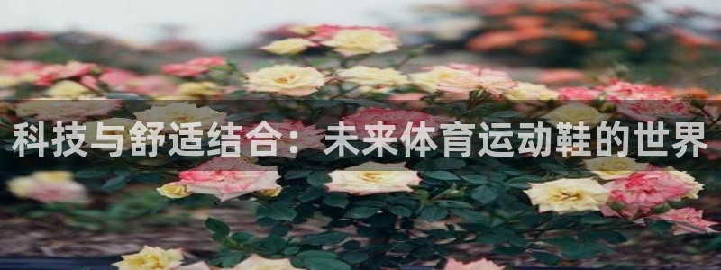 米兰体育官方正版app娱乐下载：科技与舒适结合：未来体育运动