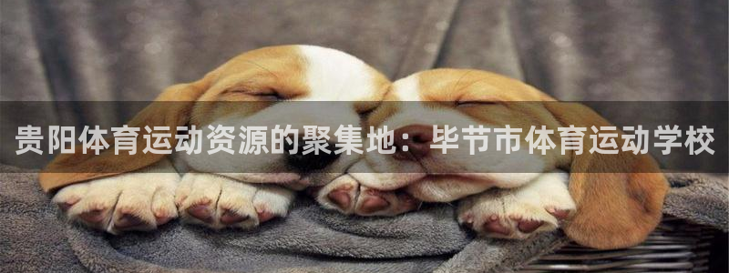 米兰体育官网下载联系电话:贵阳体育运动资源的聚集地:毕节市体