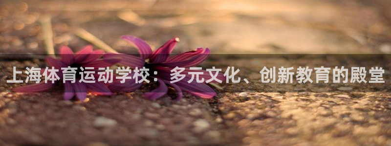 米兰体育官方正版app代理：上海体育运动学校：多元文化、创新