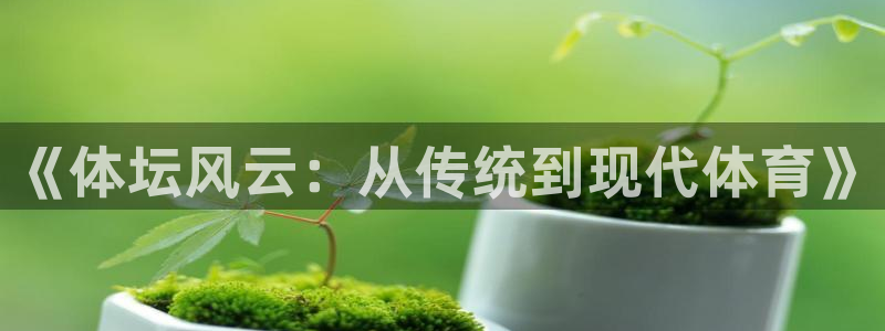 米兰体育官网下载招商电话地址：《体坛风云：从传统到现代体育》