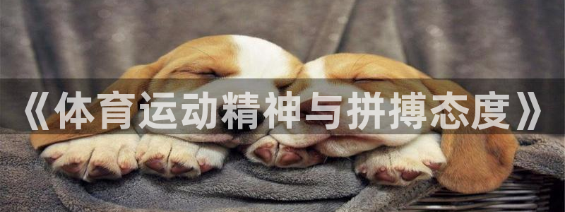 米兰体育报 老板：《体育运动精神与拼
