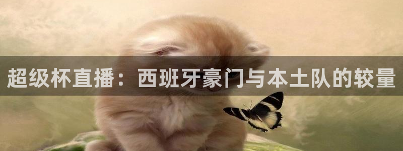 河豚直播nba：超级杯直播：西班牙豪门与本土队的较量