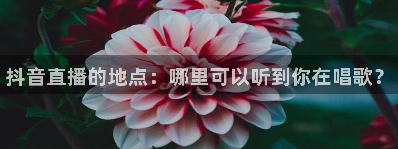 河豚搞笑：抖音直播的地点：哪里可以听到你在唱歌？
