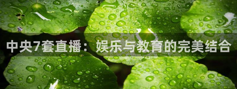 河豚nba直播官网：中央7套直播：娱乐与教育的完美结合