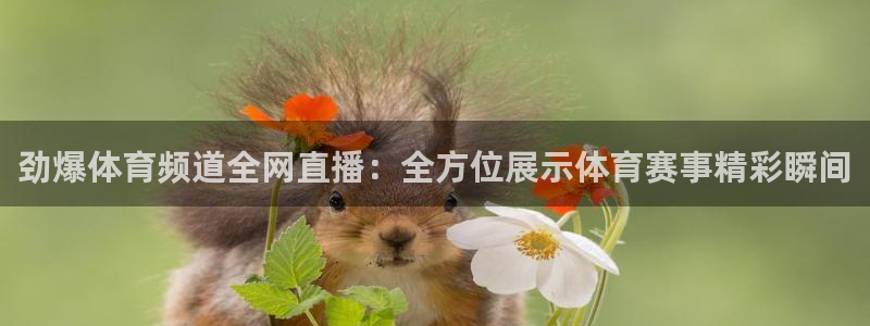 河豚体育直播app下载