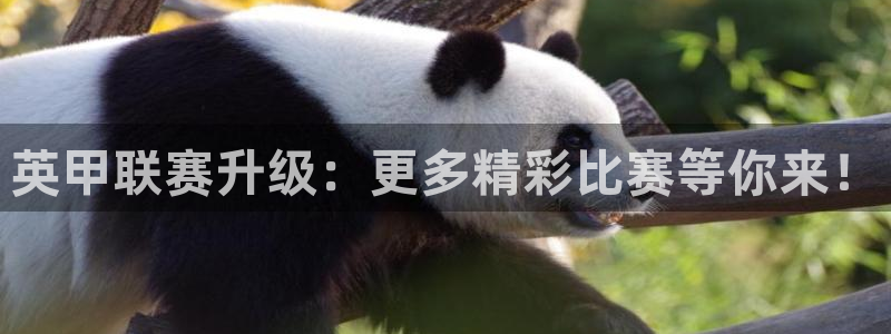 河豚体育nba直播：英甲联赛升级：更多精彩比赛等你来！