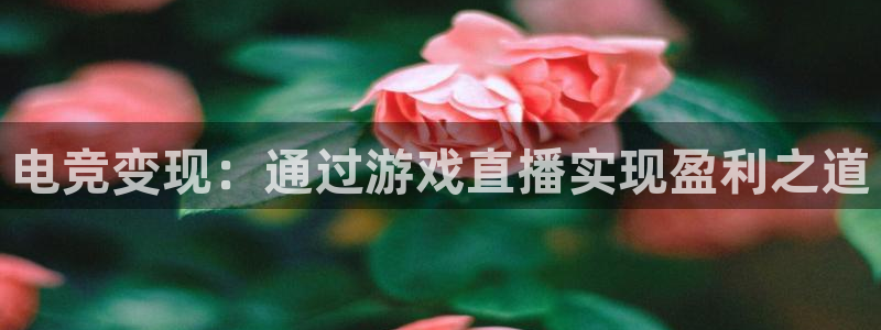 河豚nba体育直播：电竞变现：通过游戏直播实现盈利之道
